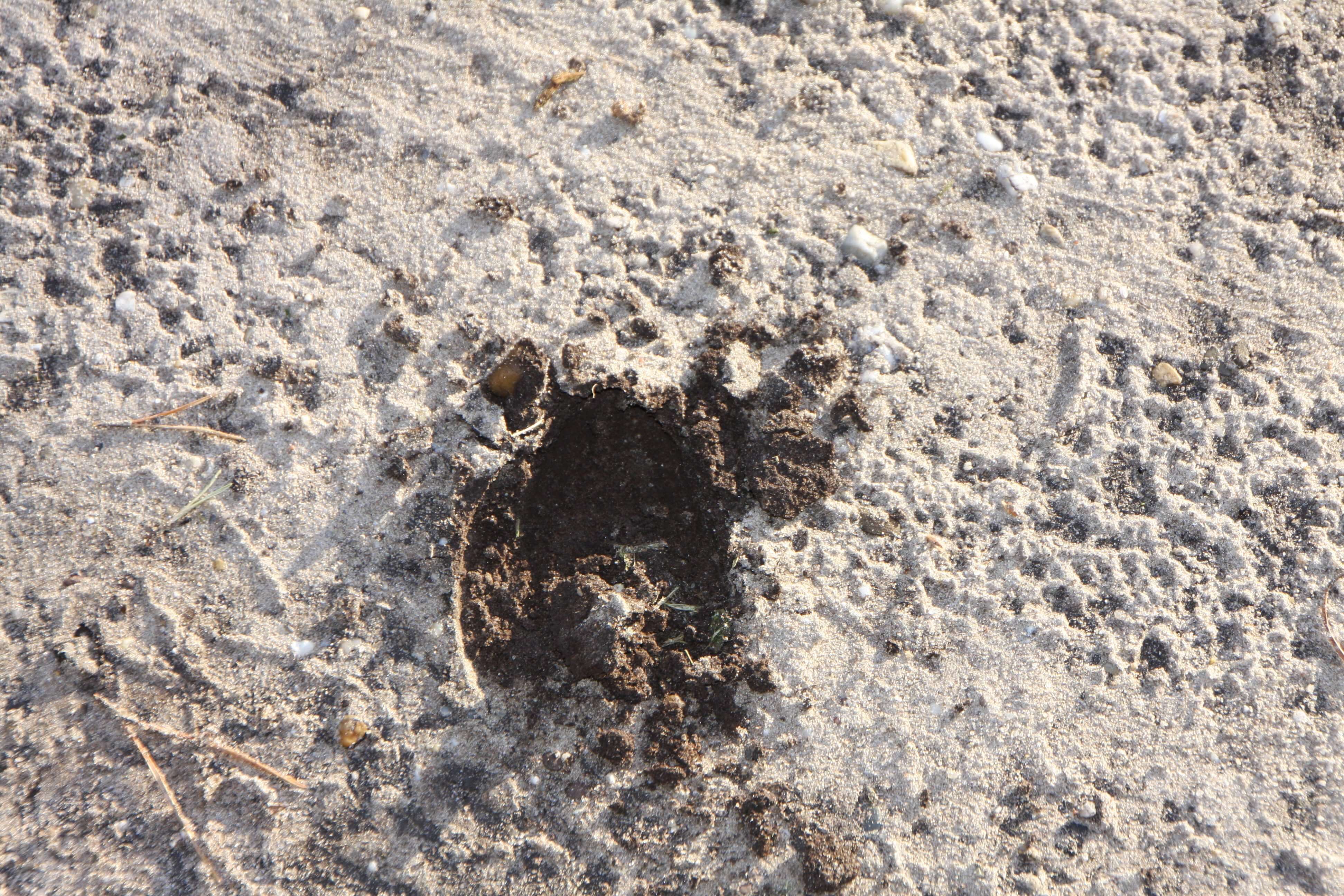 Natuurwandeling met gids