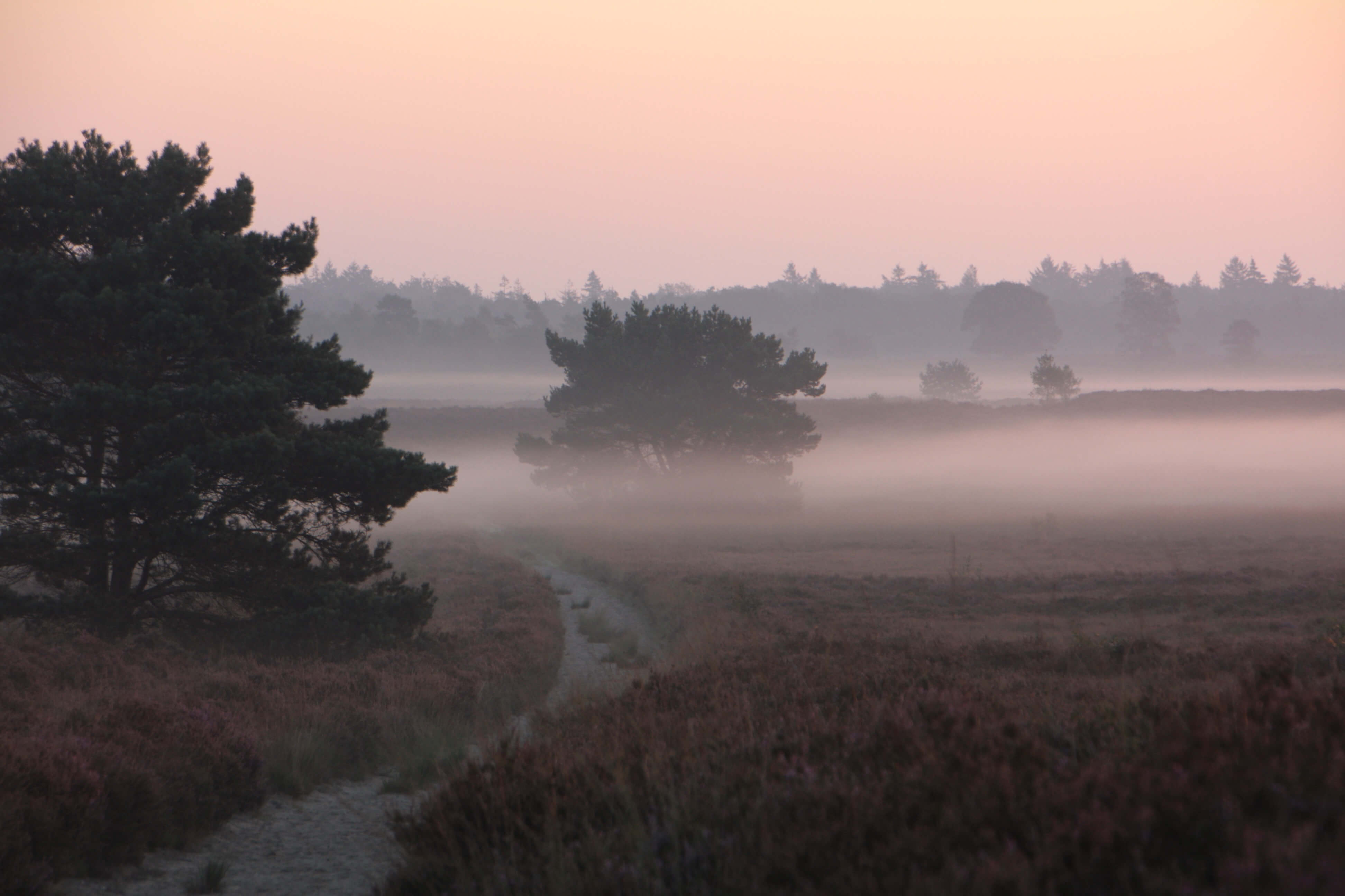 Bedrijfsuitje Nunspeet