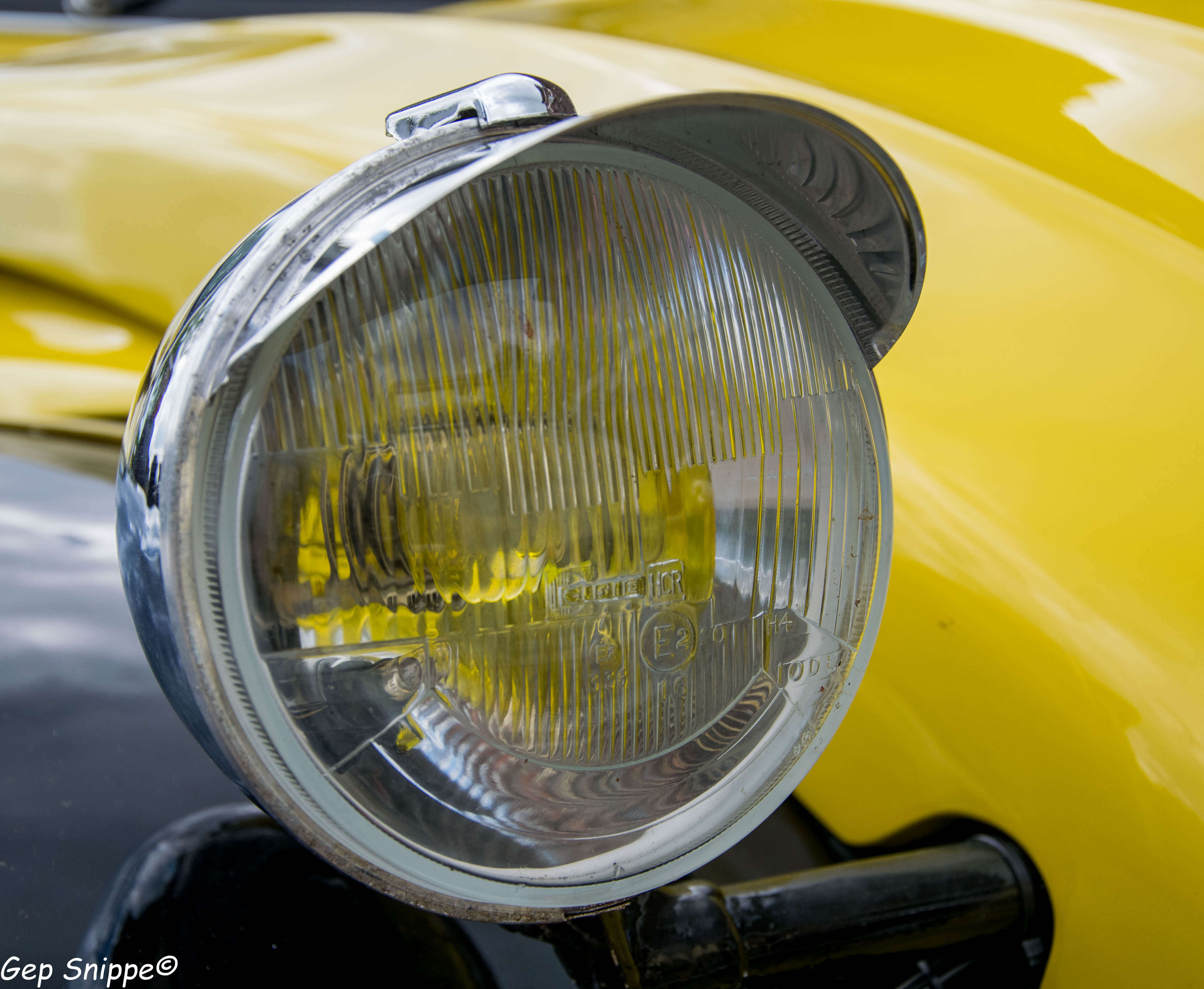 Lelijke eend verhuur