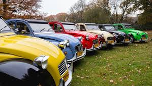 Lelijke eend elspeet