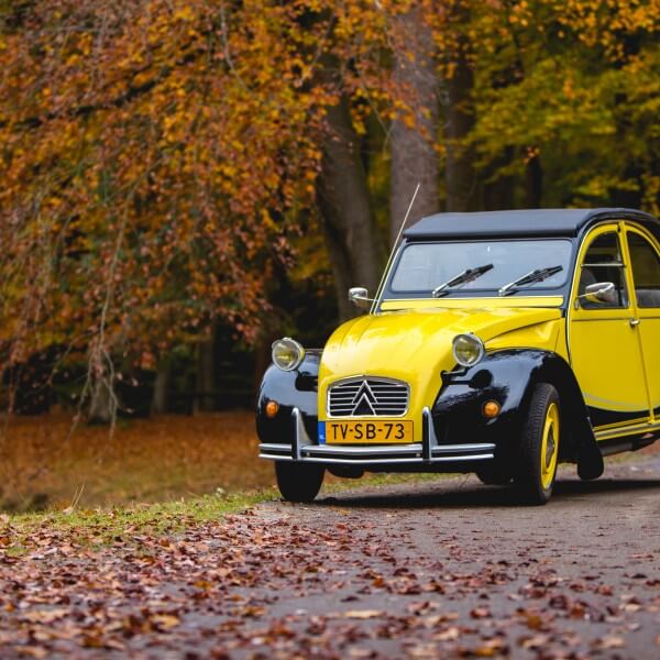 Lelijke eend verhuur