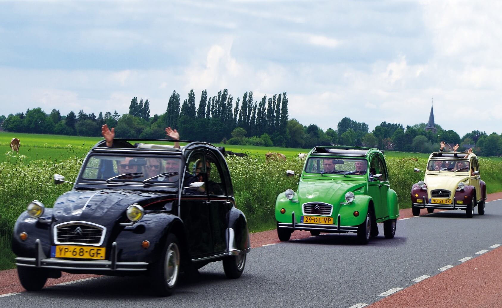 Lelijke eend verhuur